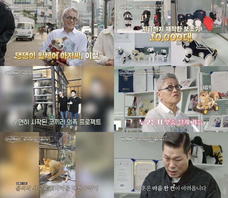 아픈 강아지들에게 새 삶을 선물하는 '강아지 휠체어 제작자' 이철의 사연과, 서장훈의 눈물 속에 시작된 유기견 '무강이'의 기적 같은 첫걸음이 '서장훈의 이웃집 백만장자'에서 공개된다.  8일(수) 밤 9시 55분 방송되는 EBS '서장훈의 이웃집 백만장자'에서는 강아지 보조기와 휠체어를 만드는 15년 차 '댕댕이 휠체어 아저씨' 이철의 파란만장한 인생사가 그려진다.  그는 직접 개발한 휠체어와 보조기를 통해 수많은 강아지들에게 '다시 걷는 기적'을 선