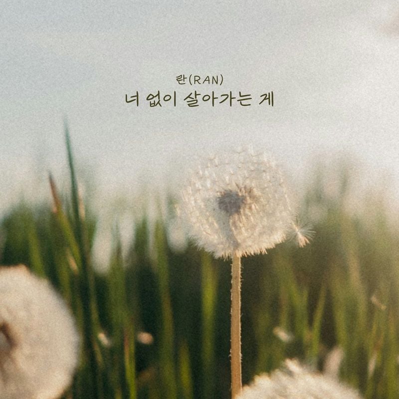 [사진 제공: 요구르트 스튜디오]