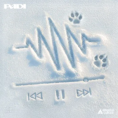 페디, 오늘(23일) 첫 EP ‘Press Winter’ 발매! 겨울 무드 집약한 믹스테이프