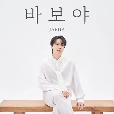 재하, 오늘(15일) 자작곡 ‘바보야’ 발매...이별 후 남겨진 한 남자의 그리움