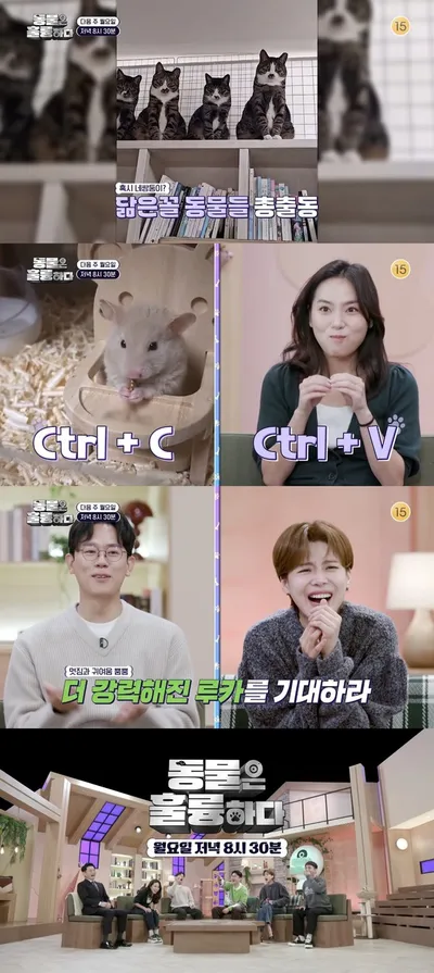'동물은 훌륭하다', 네쌍둥이처럼 똑 닮은 고양이 가족의 오묘한 동거 스토리 大 공개